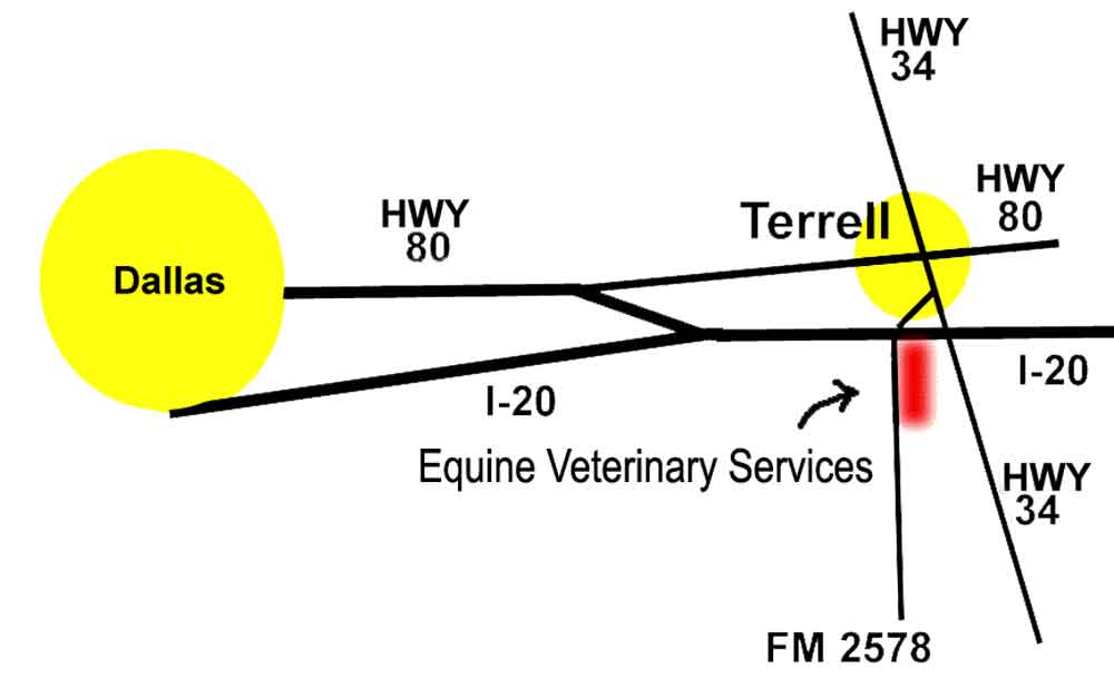 Equine Veterinary Services is located at 505 just south of I-20 FM 2578