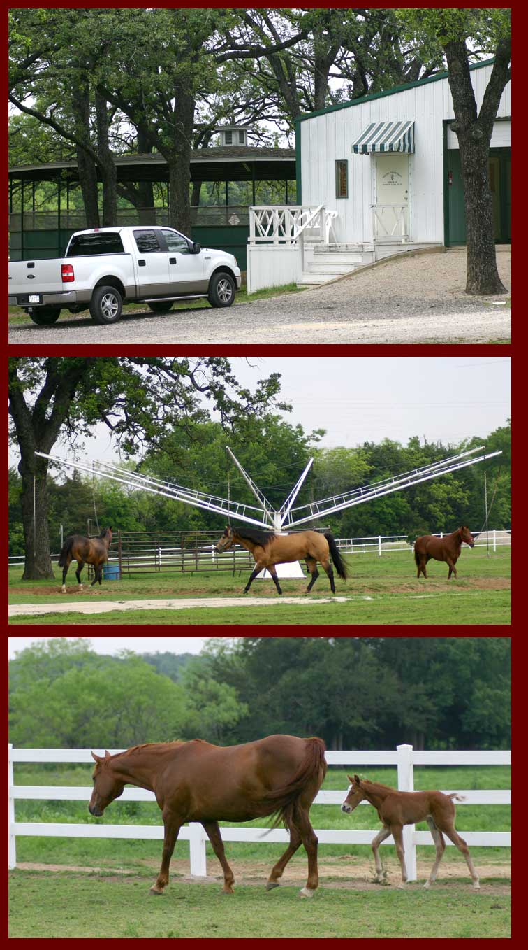 Equine Veterinary Services Facility images