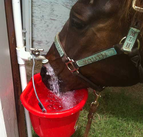  Clean Water is important